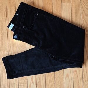 Loft Velvet Modern Skinny Jeans